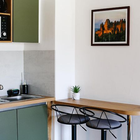 Studio Avec Parking Vue Sur La Cite De Carcassonne Exterior photo